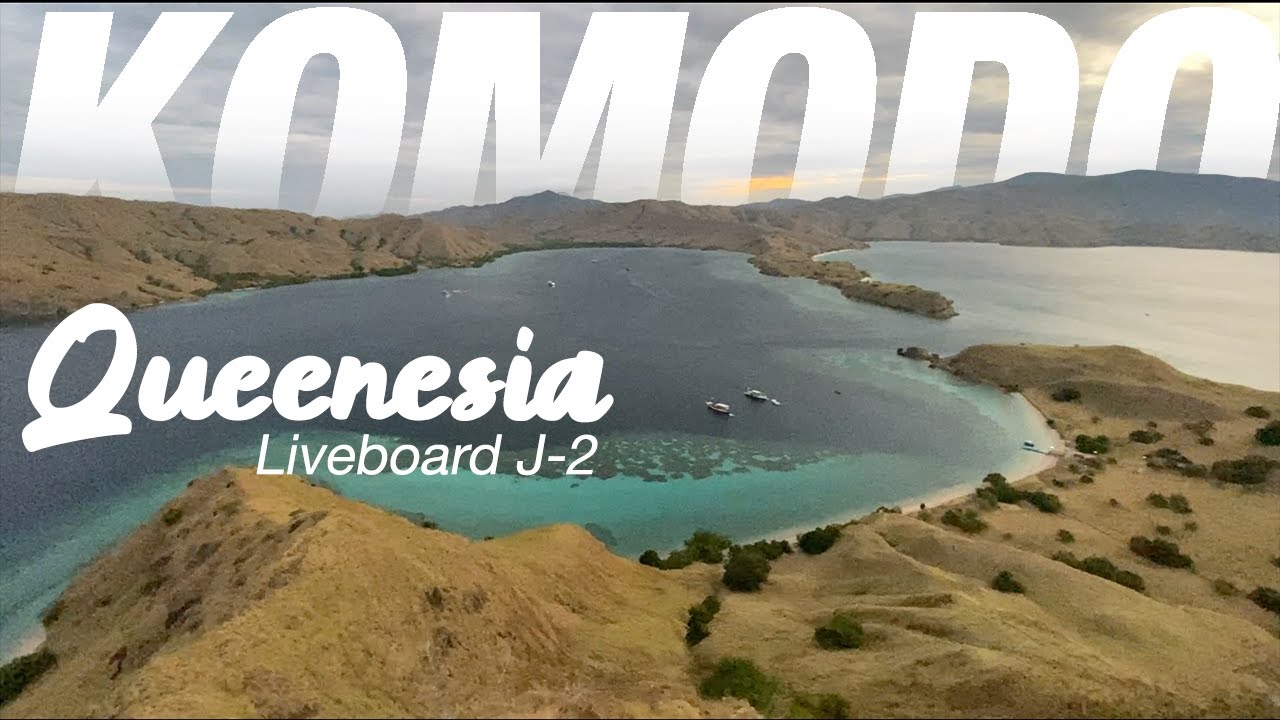 KOMODO QUEENESIA - Dragons et Lava point (Jour 2)