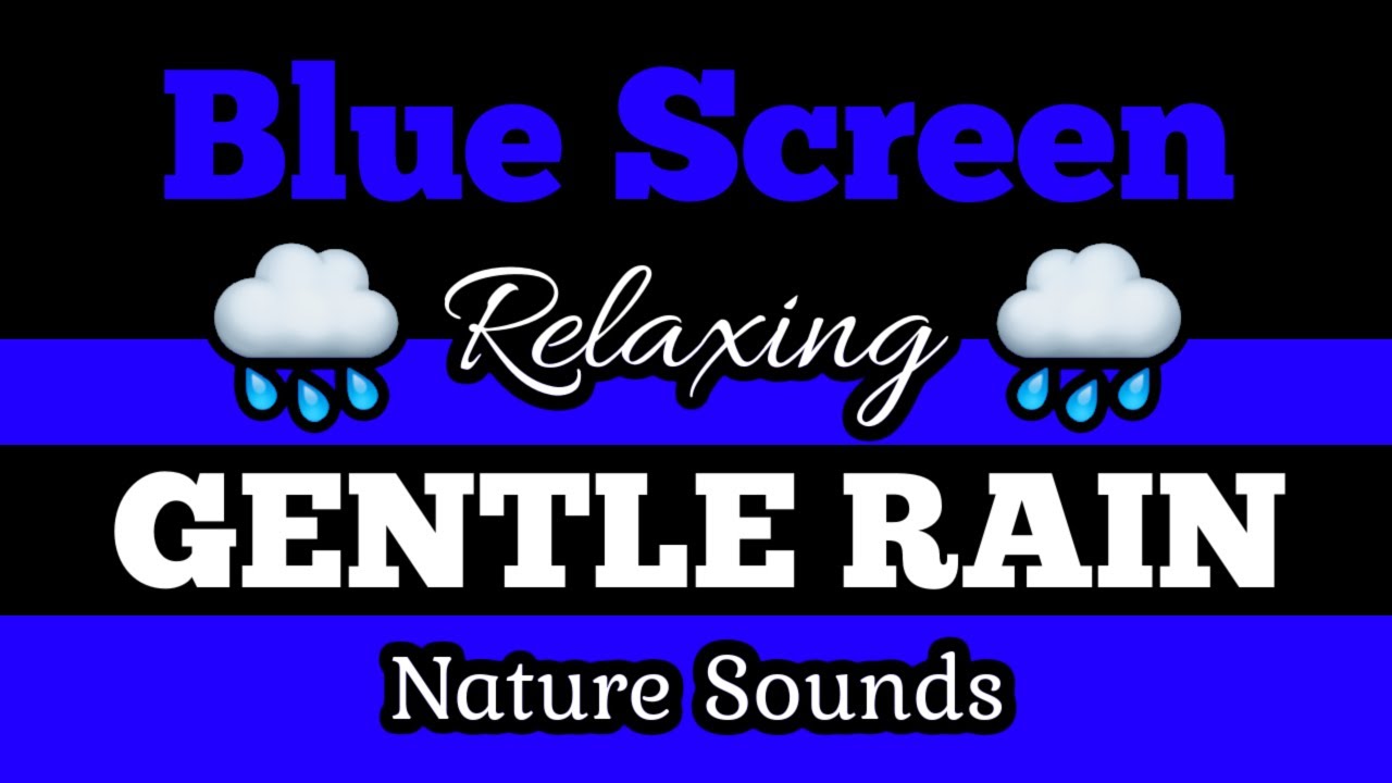 🟦BLUE SCREEN 🌧️GENTLE RAIN 🌲Soothing Nature Sounds