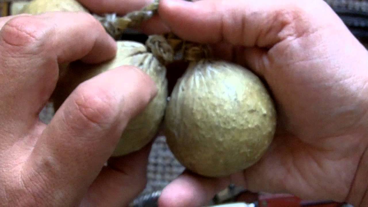 Traditional South American Boleadoras (Bolas)