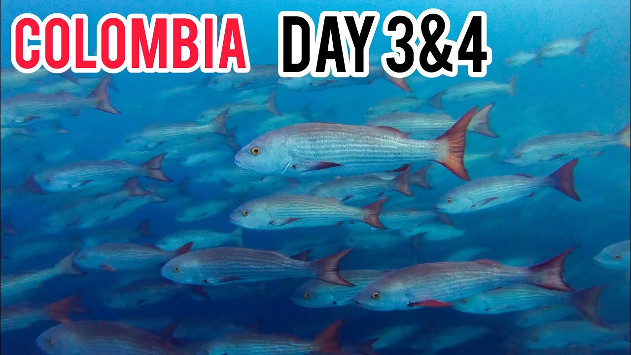You NEVER know what's below the BOAT (Day 3&4)