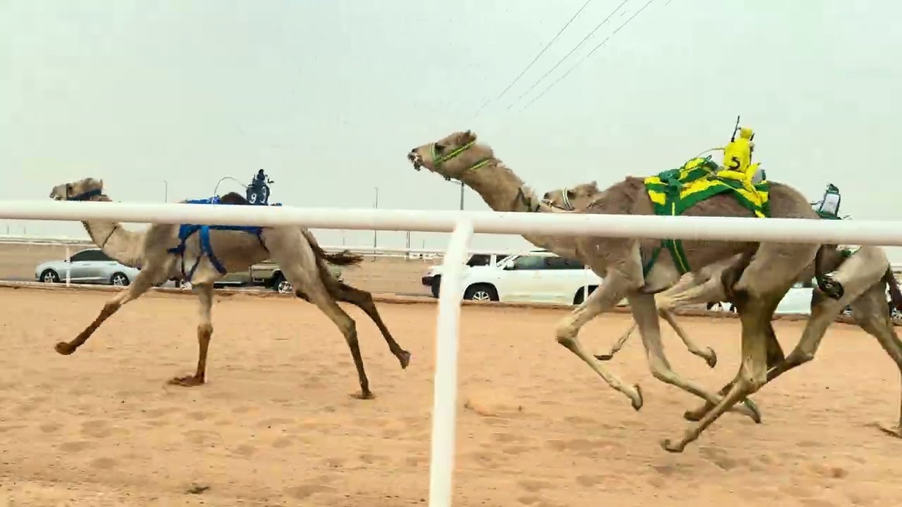 ش 3 حقايق بكار انتباه ل فهد بشير الشمري 
