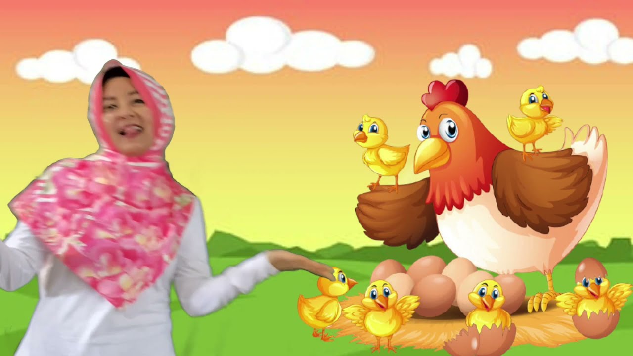 Tema Binatang Sub tema: Binatang Ternak Sub sub tema: AYAM TK ZAHRA CIAWI