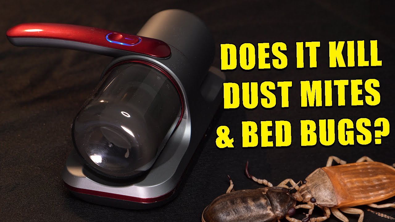 Обзор пылесоса UV-C Dust Mite — действительно ли он удаляет постельных клопов и клещей?