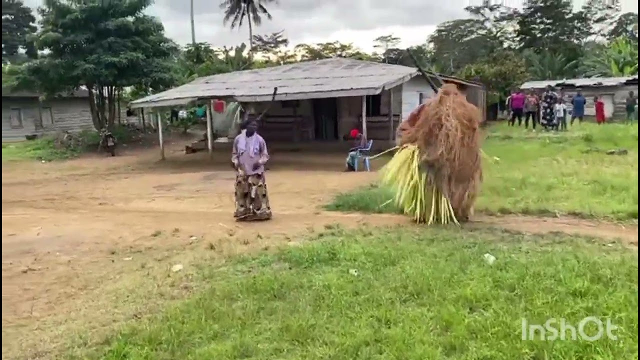 Malle(Elephant 🐘)Dance Procession in Bakundu Land, Oroko Nation. #oroko #culture #culturalheritage