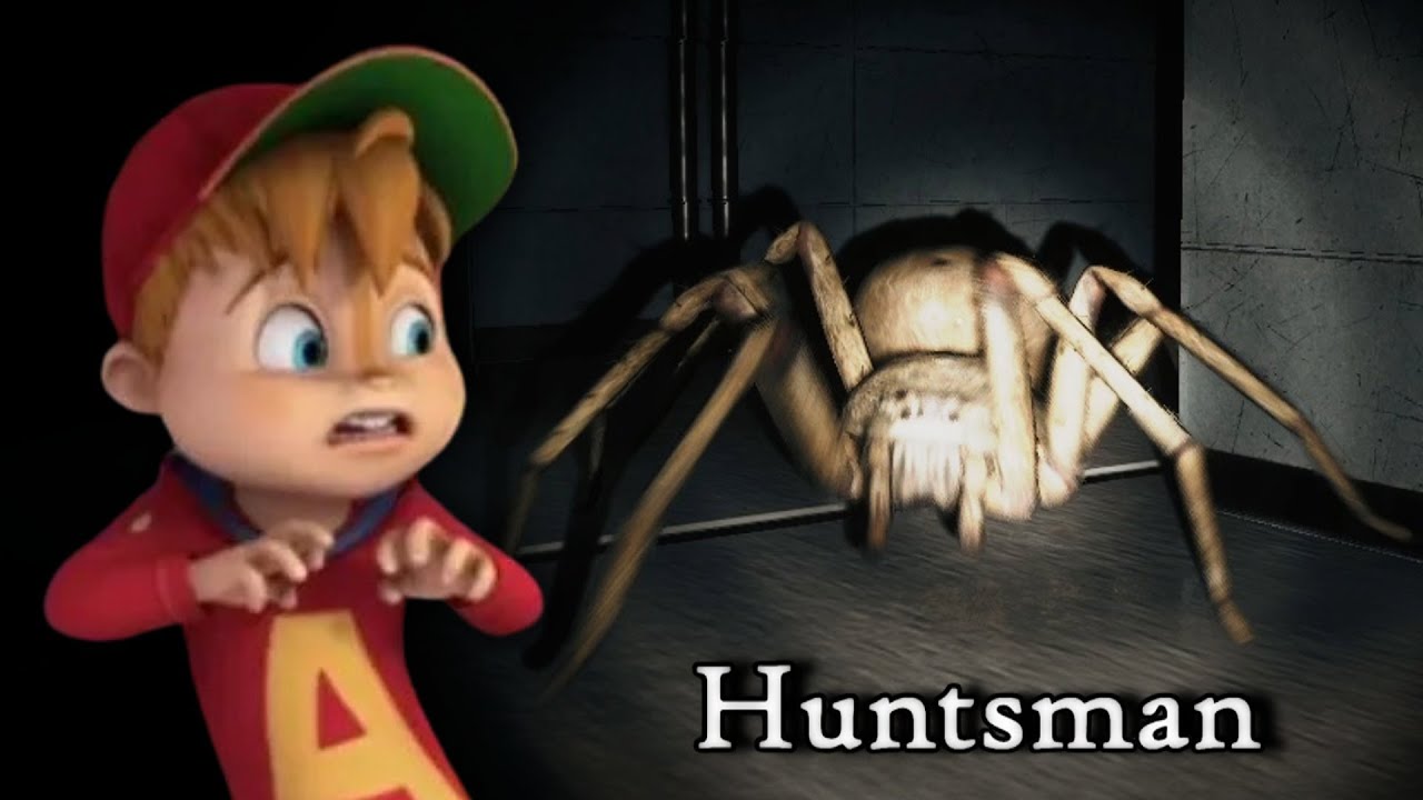 THIS SPIDER IS HUNTING FOR CHIPMUNK MEAT | Huntsman