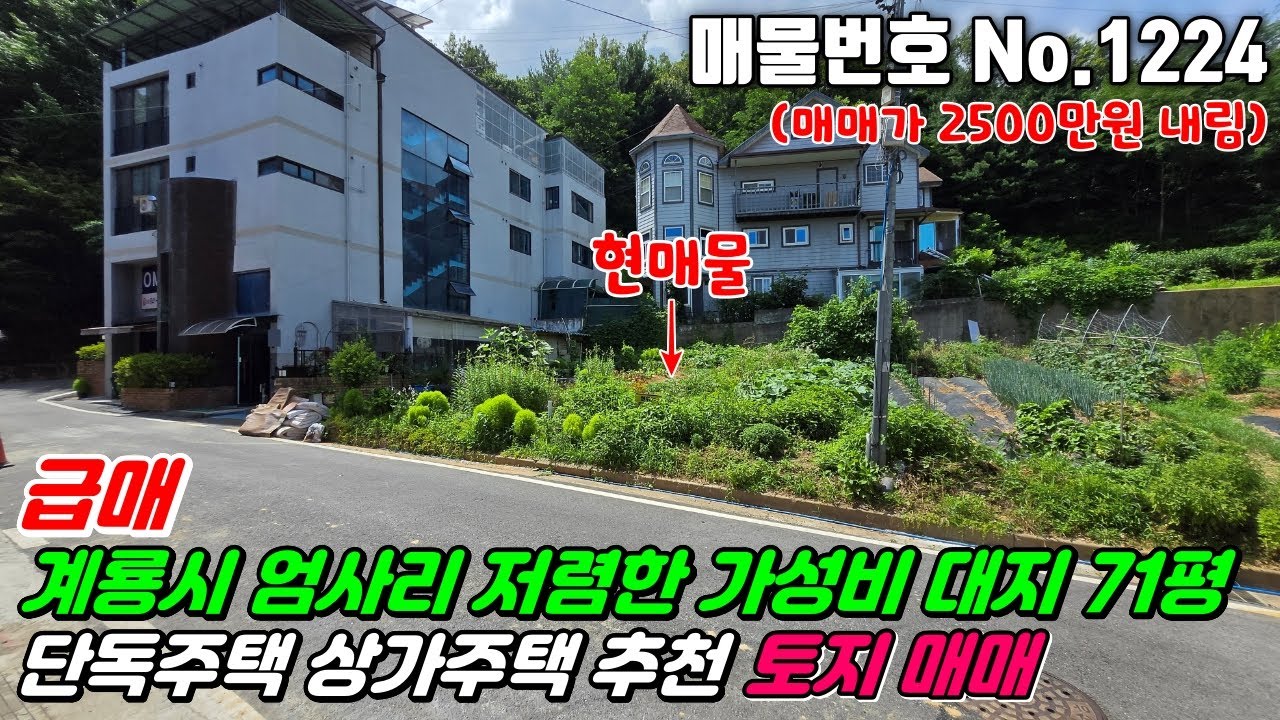 No.1224 계룡시 엄사리 저렴한 대지 토지 70.9평 매매 상가주택 단독주택 밀집지역 2종일반주거지역 전원주택 상가주택 건축추천 #엄사리토지매매 #엄사리대지매매 #계룡시토지매매