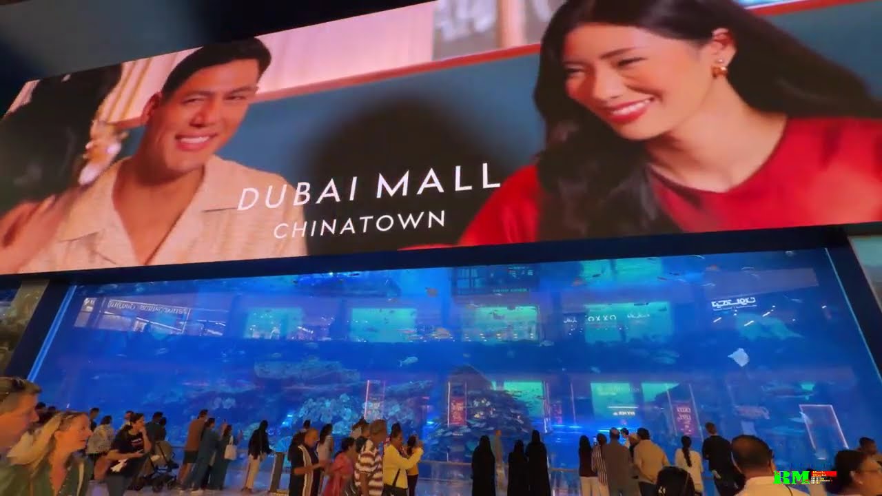 Dubai Mall - Aquarium & Underwater Zoo