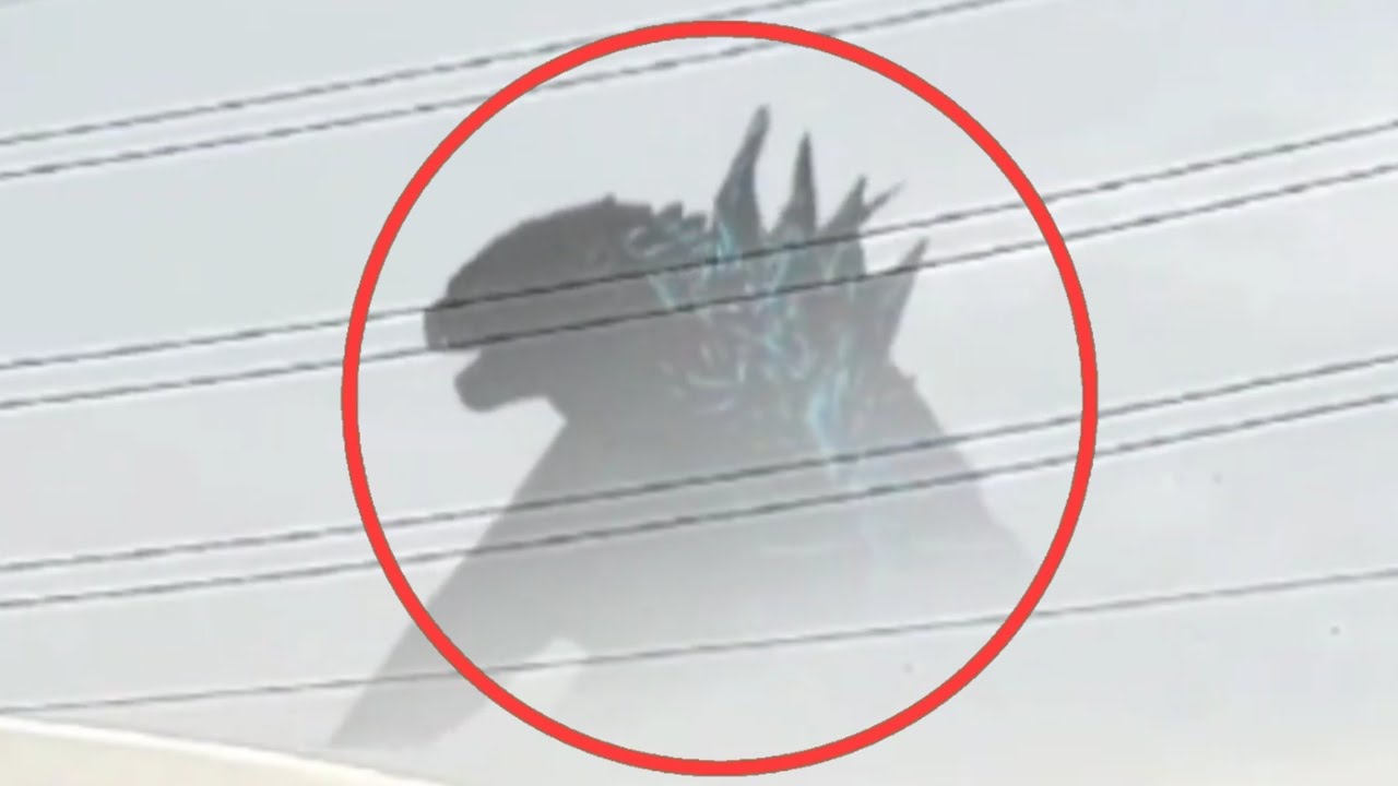 5 godzilla spotted in real life and caught on camera part 1