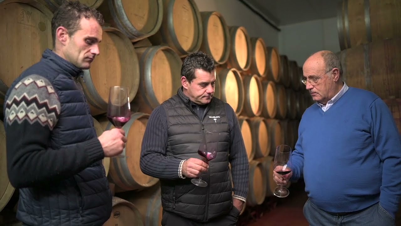Presentaci&oacute;n bodega familiar Valdeloyo, La Rioja.