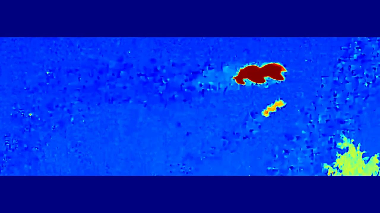 3 of 5 121712025 rods skyfish therm 