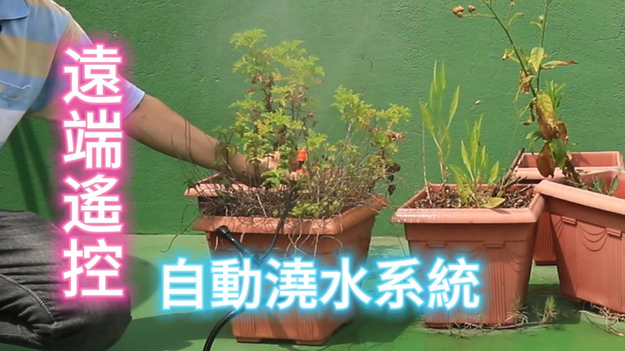 遠端遙控自動澆水系統【2023/06/10】