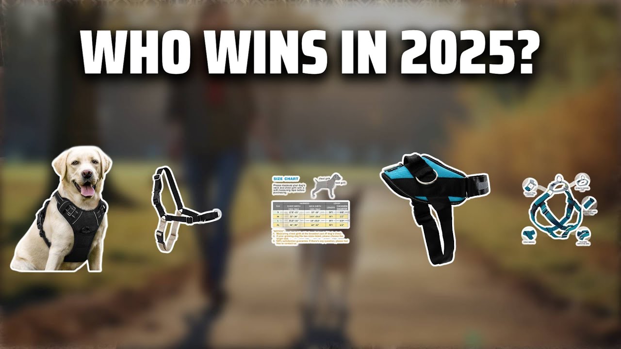 The Top 5 Best No-Pull Harness in 2025 - Must Watch Before Buying!