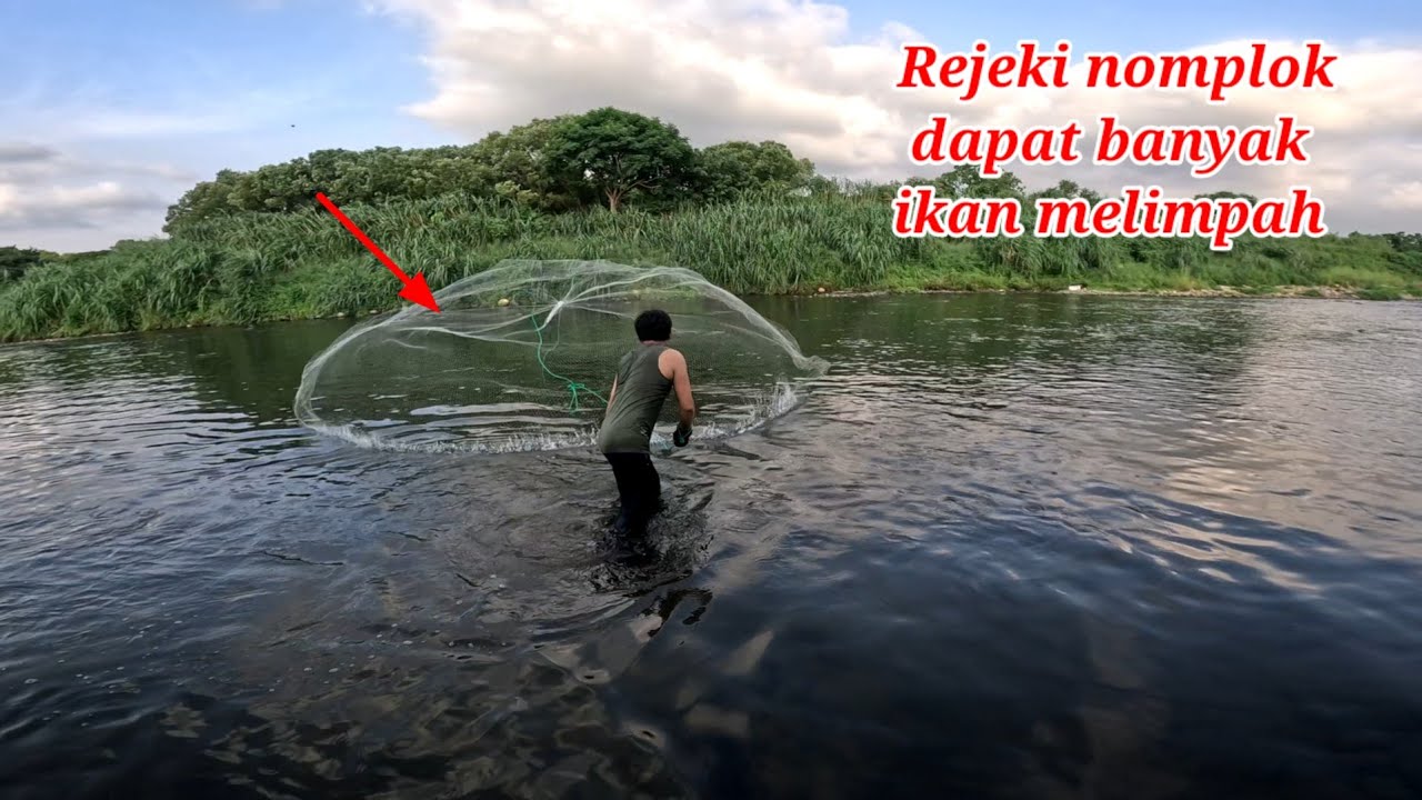  Rejeki nomplok Jala ikan di sungai liar pedalaman sungai Taiwan || amazing net fishing
