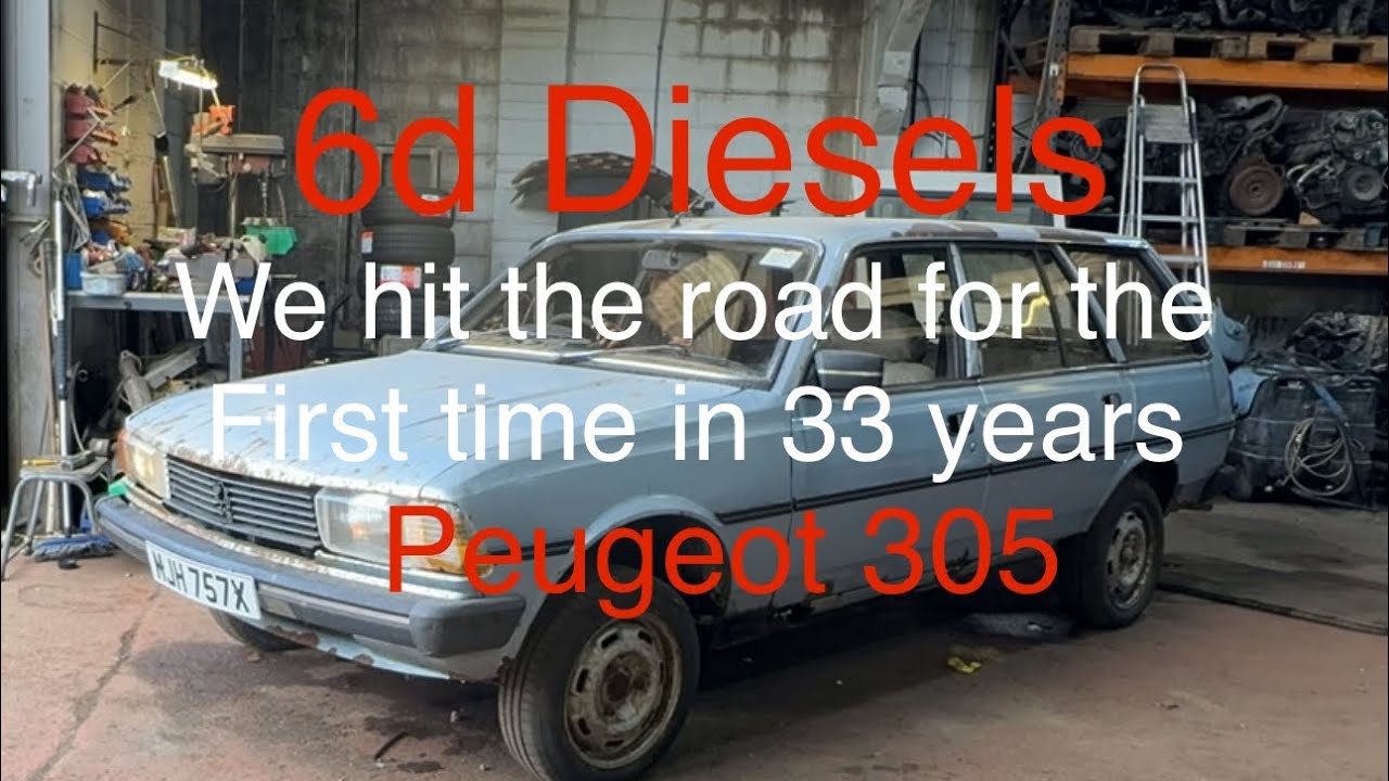 33 года в хэдж-парке, и она наконец-то снова на дороге!! 305 хэдж-парк Peugeot выехал на дорогу
