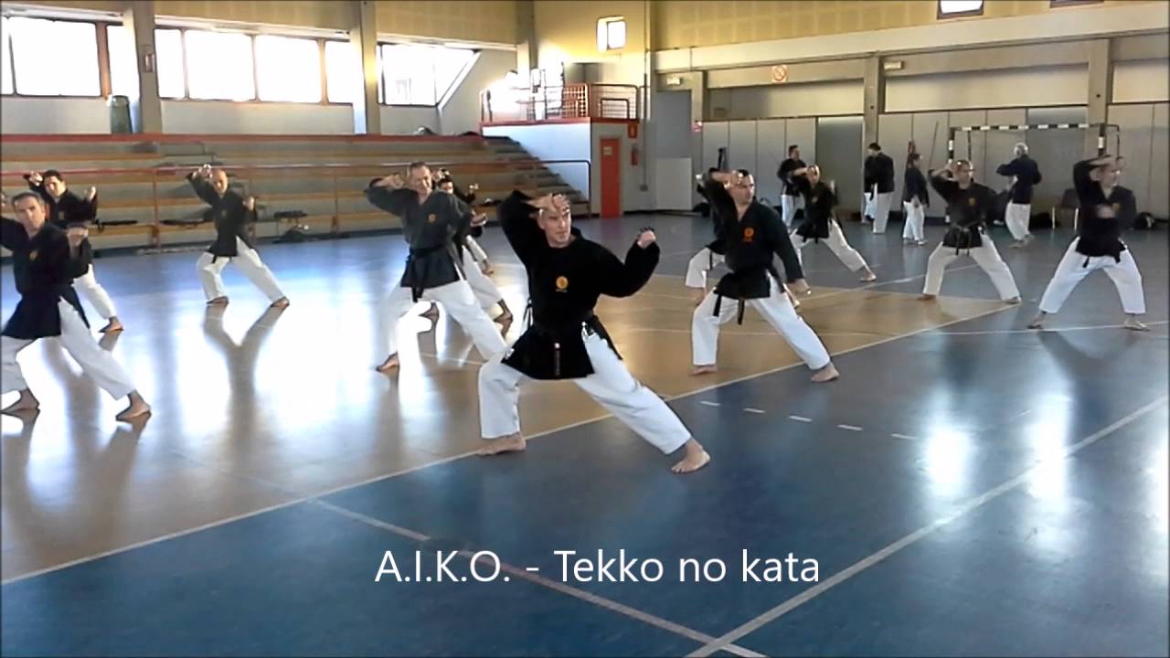 Dojo cho AIKO 2016