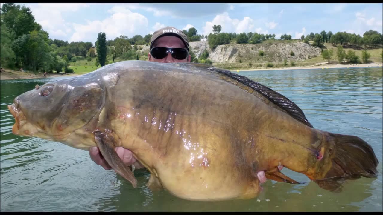 Je p&ecirc;che une carpe record en stalking