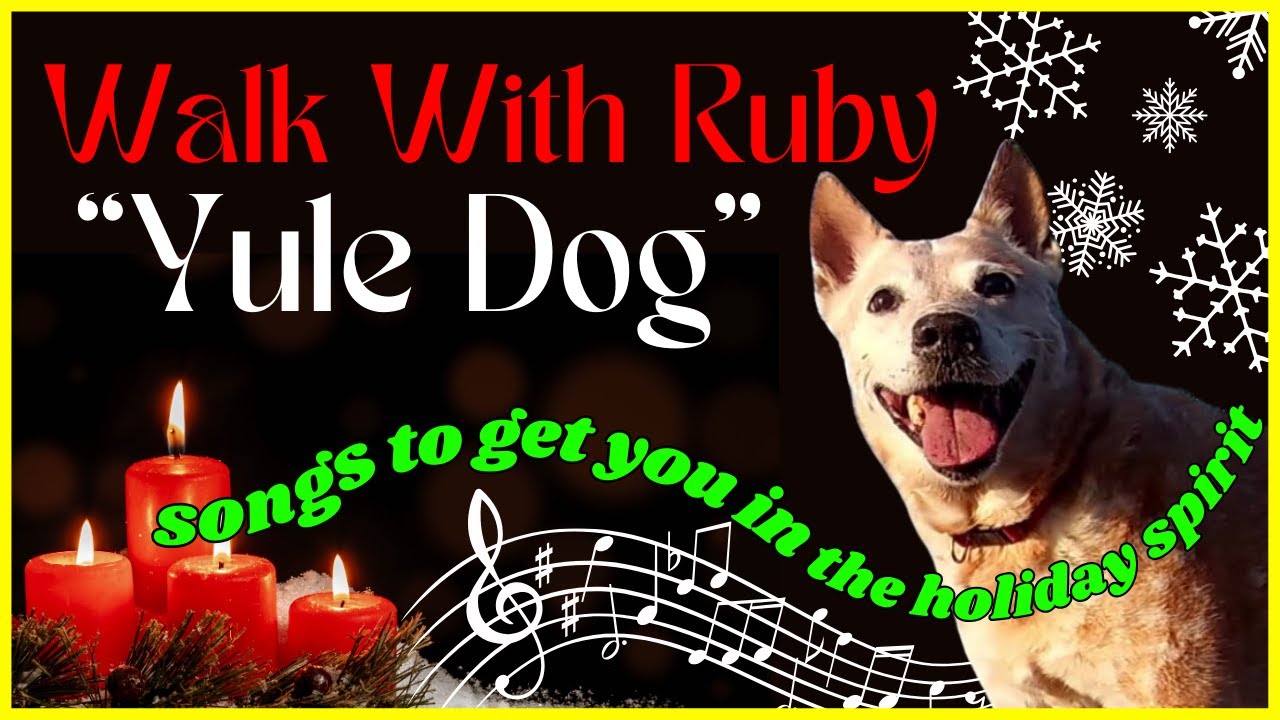 4 HOURS! Christmas/Holiday Music While Walking With Ruby! YULE DOG! #yulelog #christmasmusic