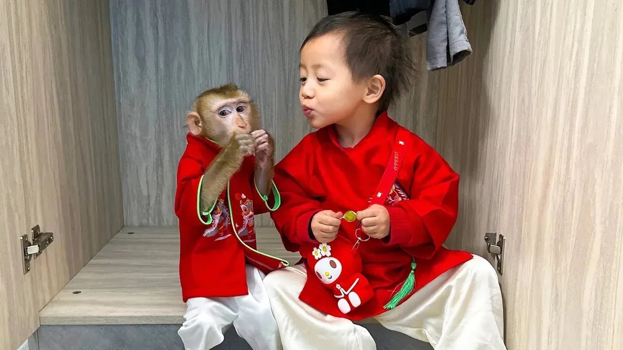 Monkey Kaka and Diem hid in the cupboard to eat candy, so funny