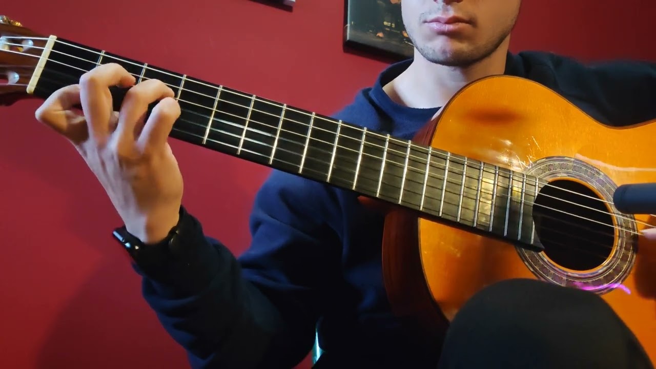 Presentació Pedro Rincón peça clássica+flamenca Palau de la Música