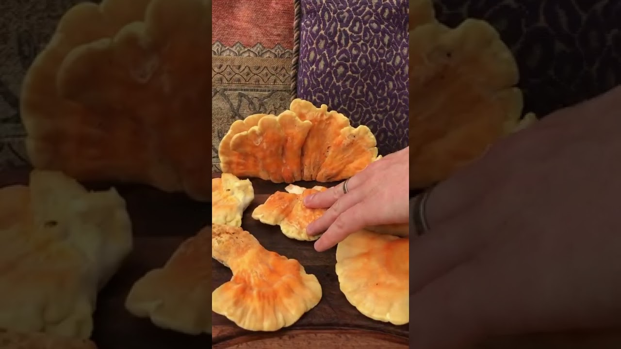 Консервирование куриных грибов из леса #корм #едабесплатно #дикаяеда #собиратель #гриб