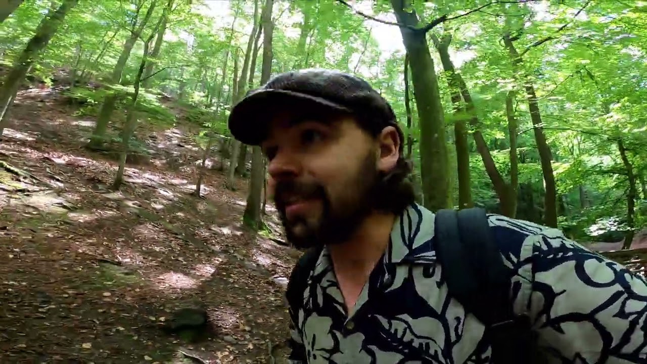 Wandelen langs de enige bergrivier van België | Ninglinspo