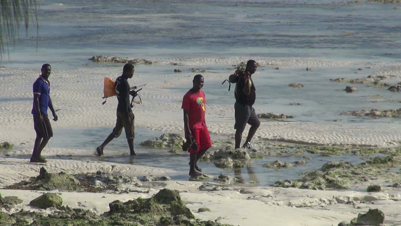 Morning walk to Jetty Bar at Reef & Beach Resort - Jambiani, Zanzibar