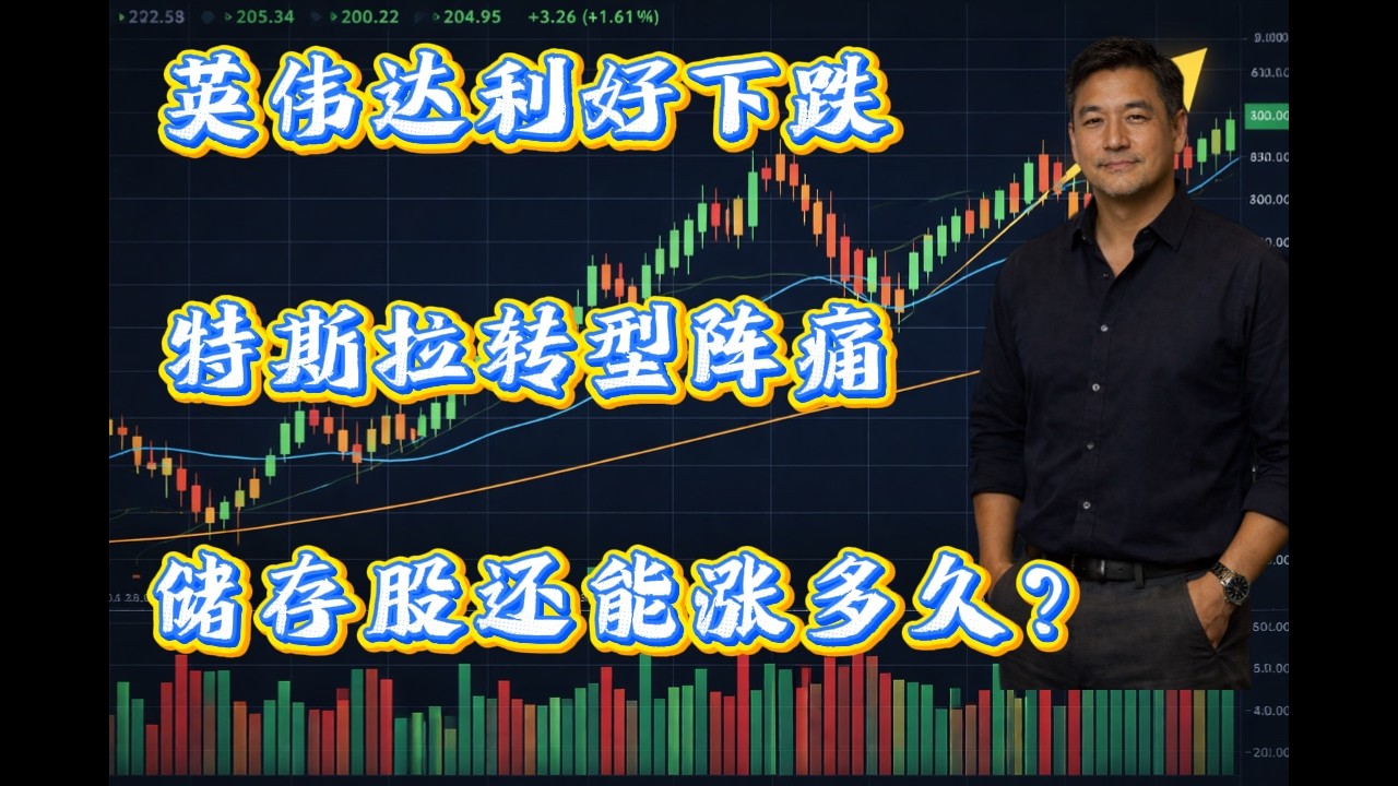 AI龙头英伟达（NVDA）利好下跌、特斯拉(TSLA)转型阵痛、美光科技(MU)西部数据(WDC)闪迪(SNDK)还能涨多久？#美股 #股票 #股市 #投資  #纳斯达克 #道琼斯 #标普 #英伟达