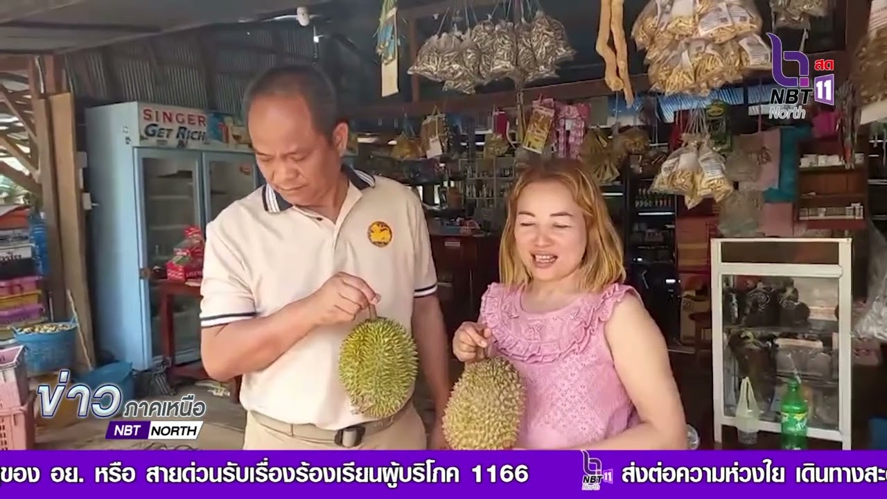 ชาวบ้านเปิ่งเคลิ้ง อ. อุ้มผาง จ.ตาก ขายทุเรียนพื้นบ้าน ซึ่งออกรุ่นแรก ไม่พอขายมียอดสั่งจองจำนวนมาก