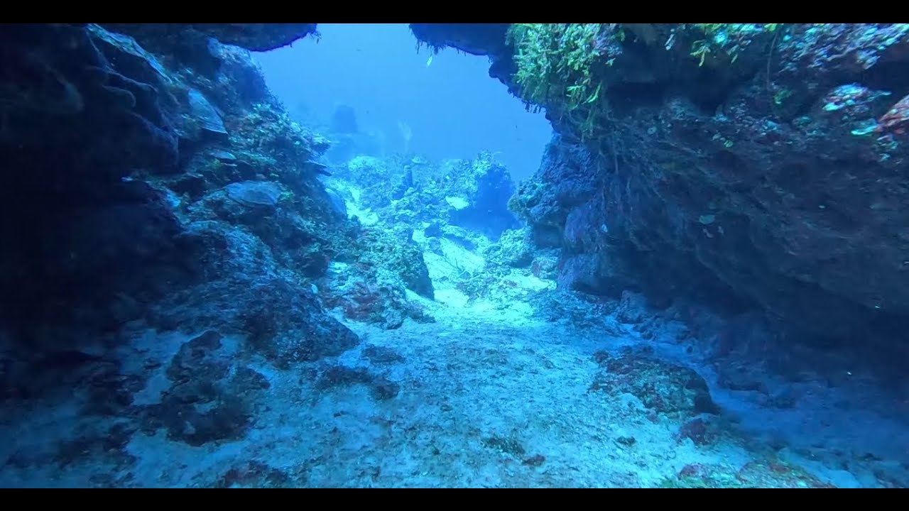 Cayman Brac - Wilderness Wall The Next Two Swim Throughs!