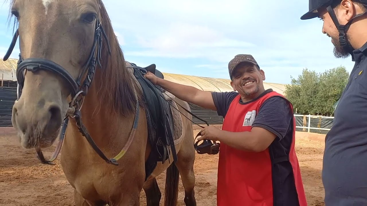 يوميات جمعية فرسان الناظور للخيول Association equestre cavalier nador نصائح للمبتدئين بالريفية