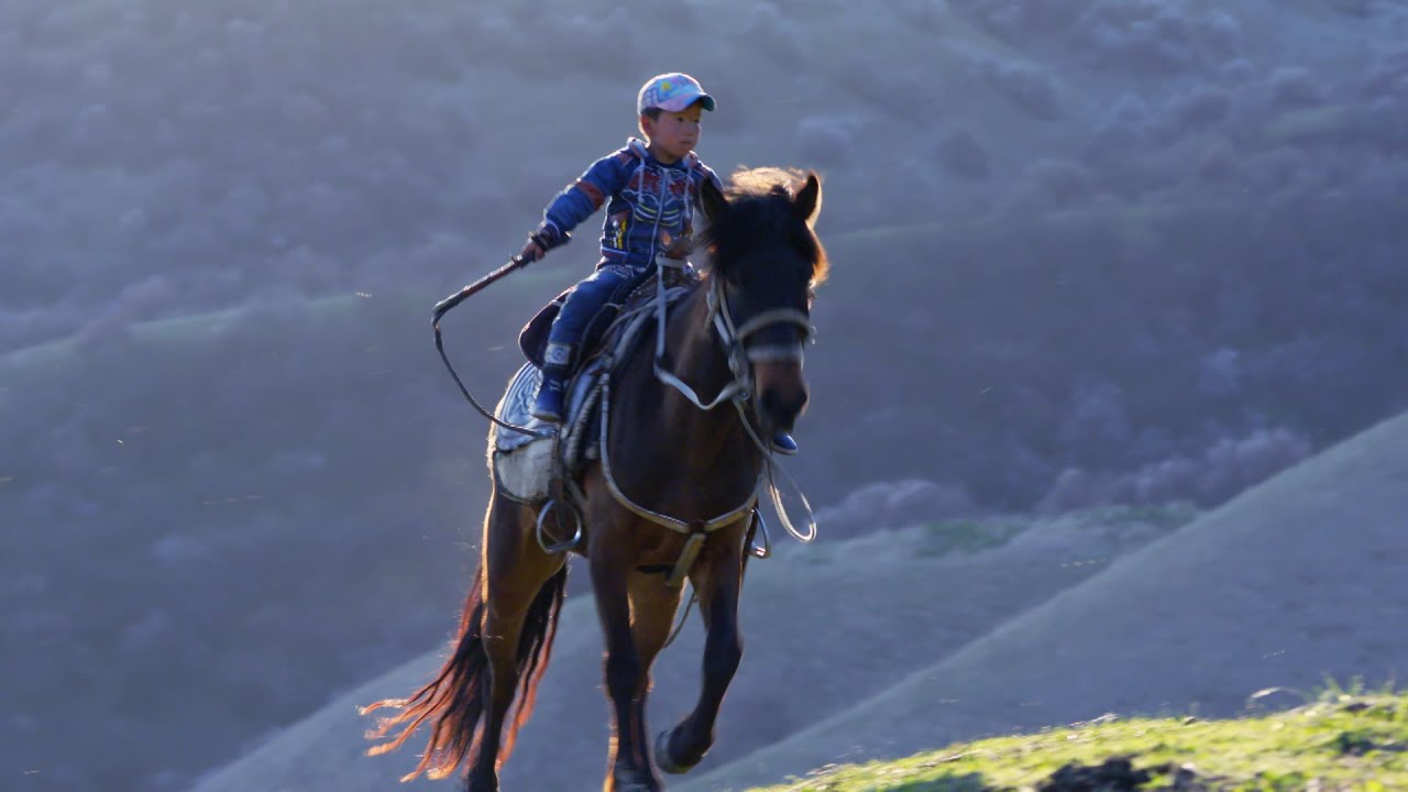 4-year-old horseman of Tianshan foothills in Xinjiang