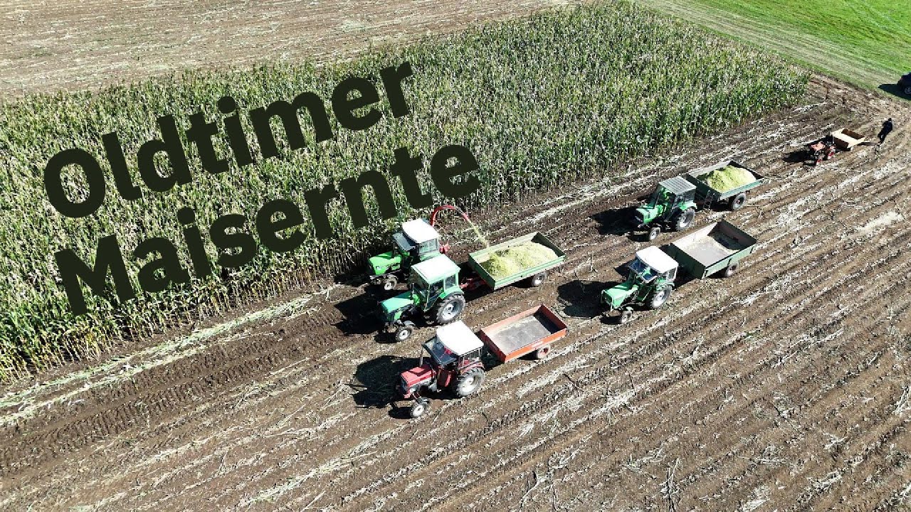 Oldtimer Maishäckseln mit Pöttinger Einreiher und Deutz, Eicher & IHC im Vogelsberg