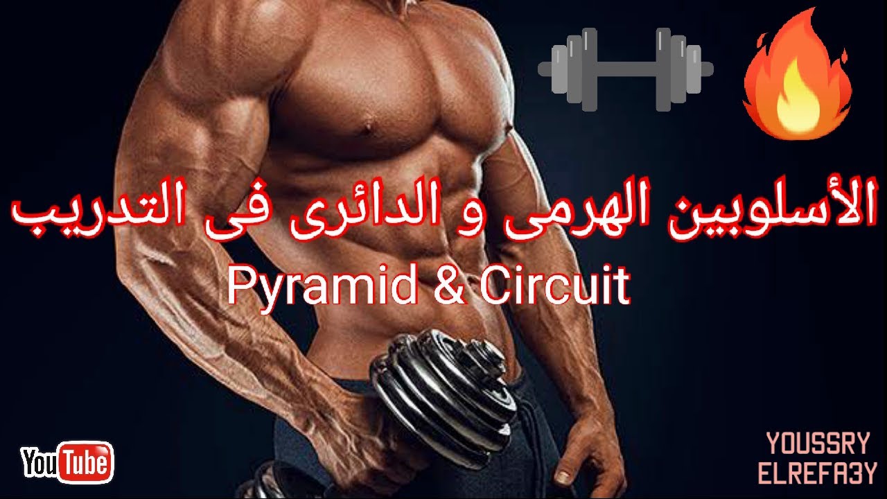 الأسلوبين الهرمى و الدائرى فى التدريب ( Pyramid - Circuit )