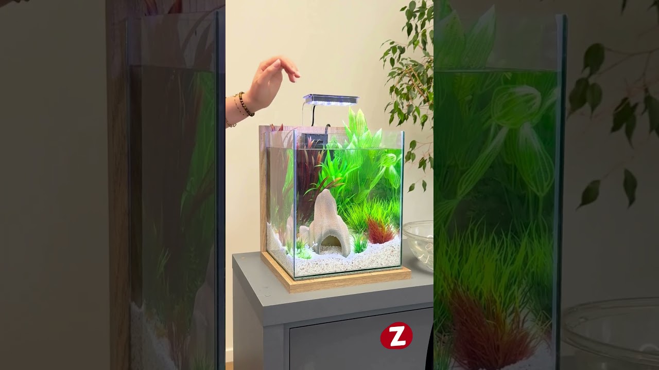 Tutoriel : Installer et d&eacute;corer son nano aquarium Jalaya XL #ZOLUX  #decoration