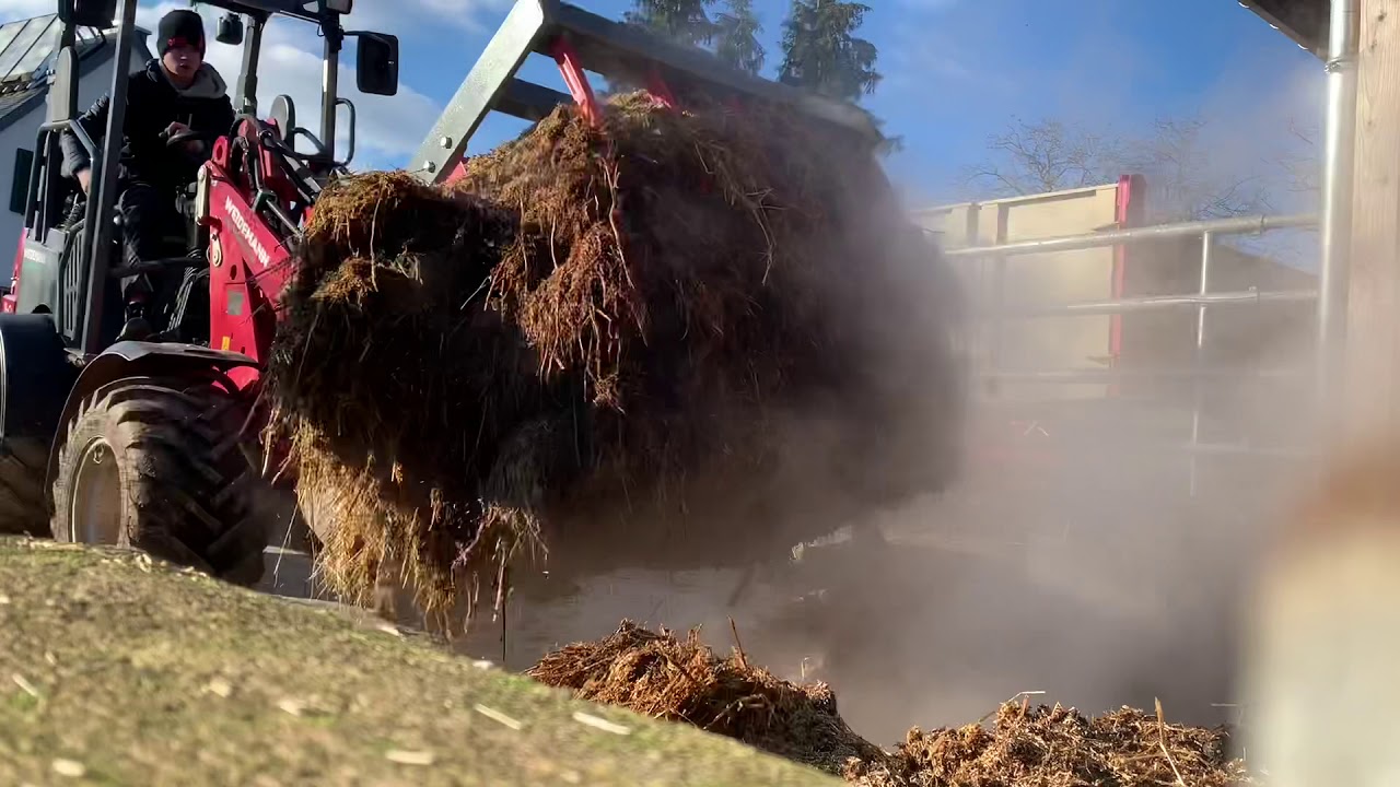 Mist fahren mit Ihc 733 und Weidemann 1160