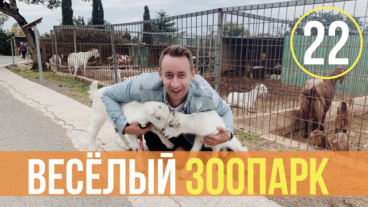 Зоопарк в Пафосе/Парк птиц и животных/Цены/Кипр