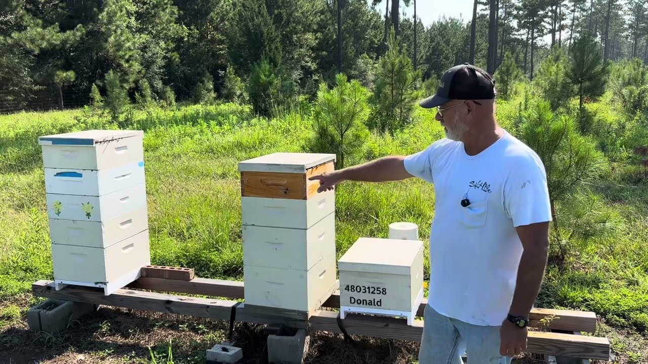 Removing 400 Pounds of Honey Supers