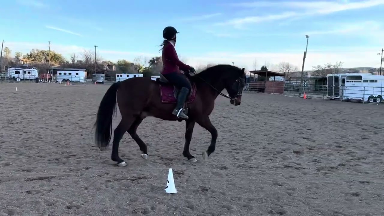 Lizann Dunegan and Miguel BTSF, Level 4,  Working Equitation Test