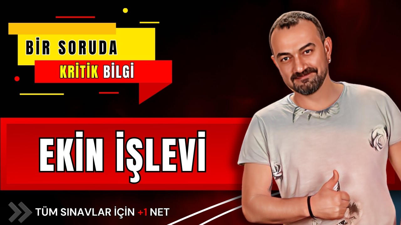 🎯 Altı Çizili EKLERDEN Hangisinin Görevi - Türü - Çeşidi Farklı? 🔥 (En Çok Karıştırılan Soru Kalıbı)