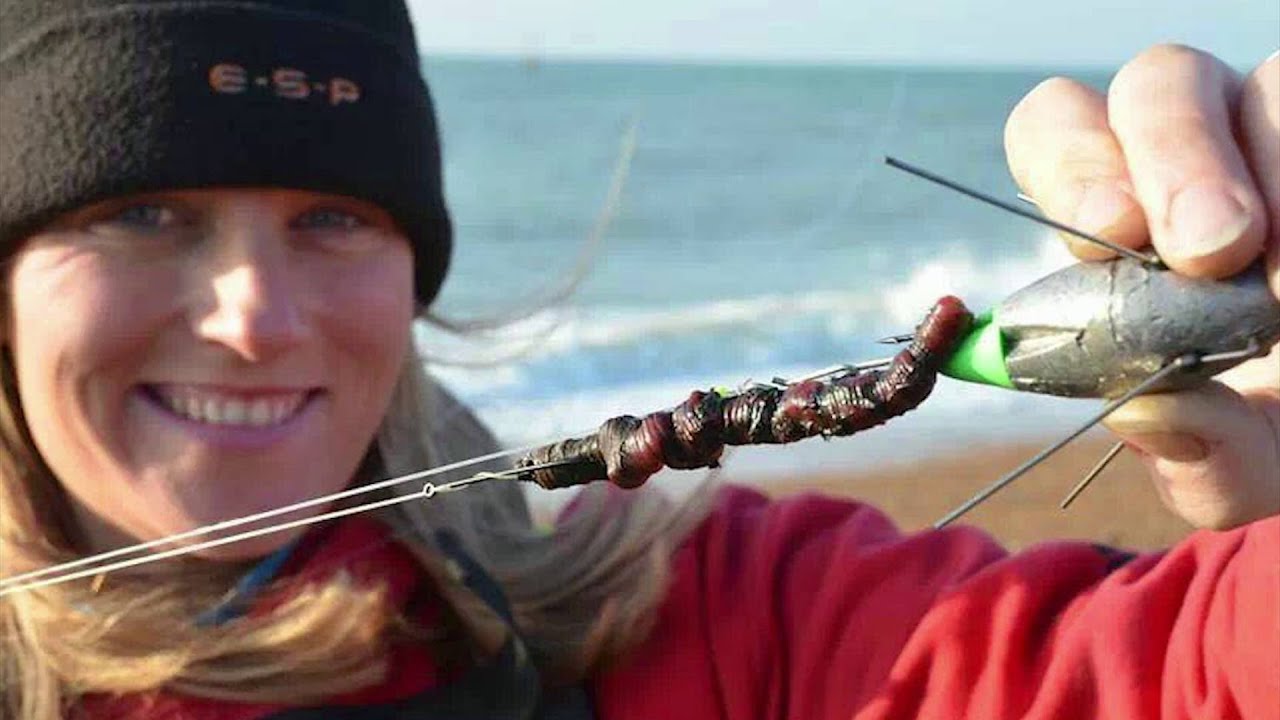How to bait up using a live fresh Blacklug on a pennel rig.