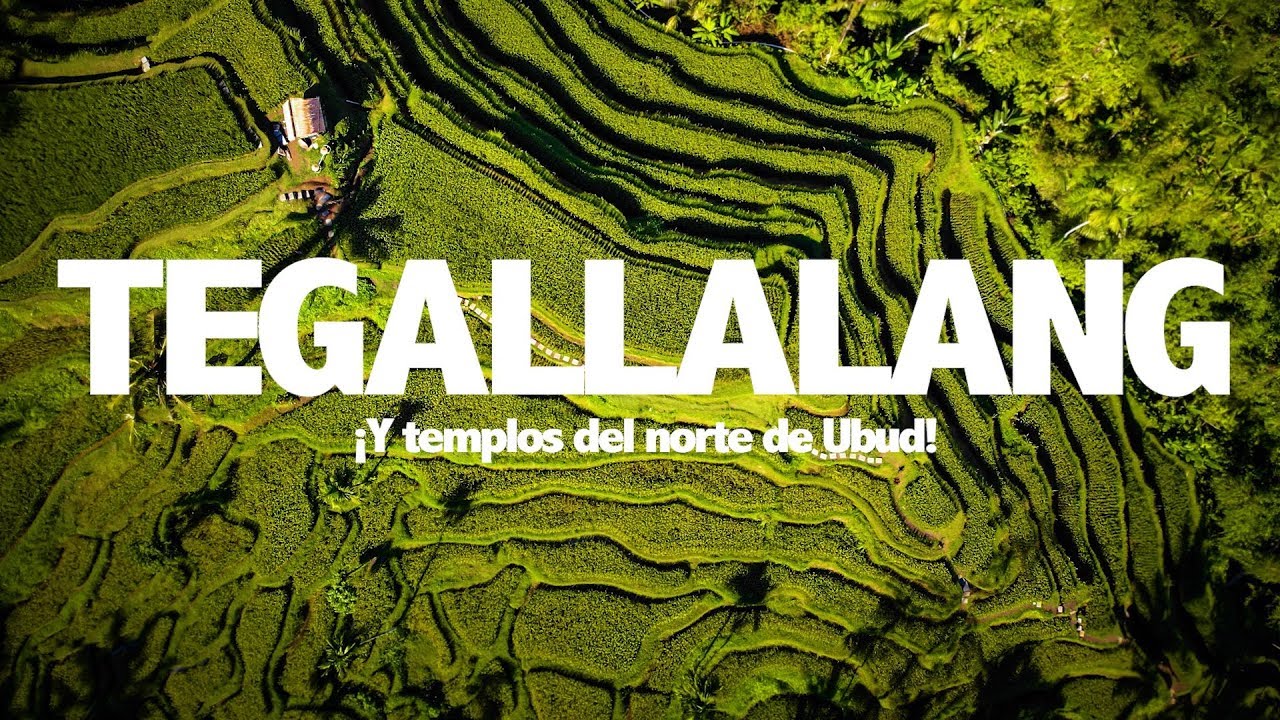¡Tegallalang, y templos del norte de Ubud! | BALI#5 | INDONESIA#5 | TrotandoMundos
