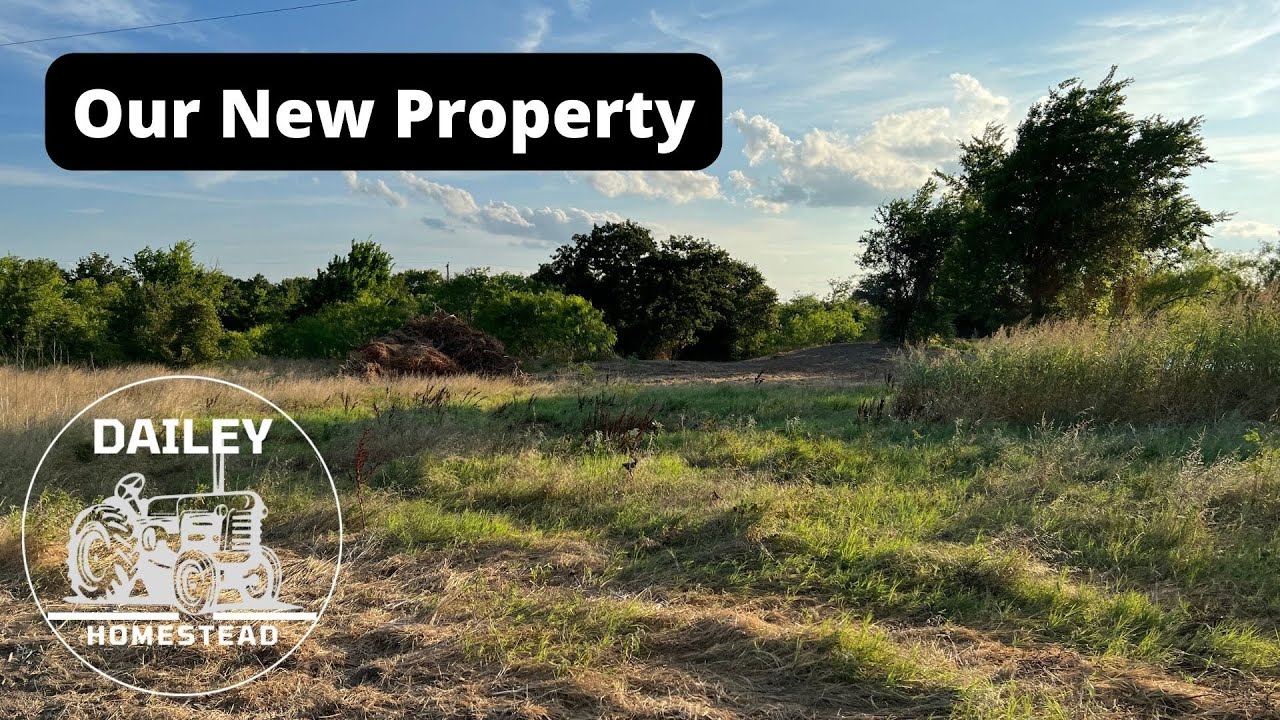 The Dailey Homestead Episode 1 - Our (Rough) New Property.