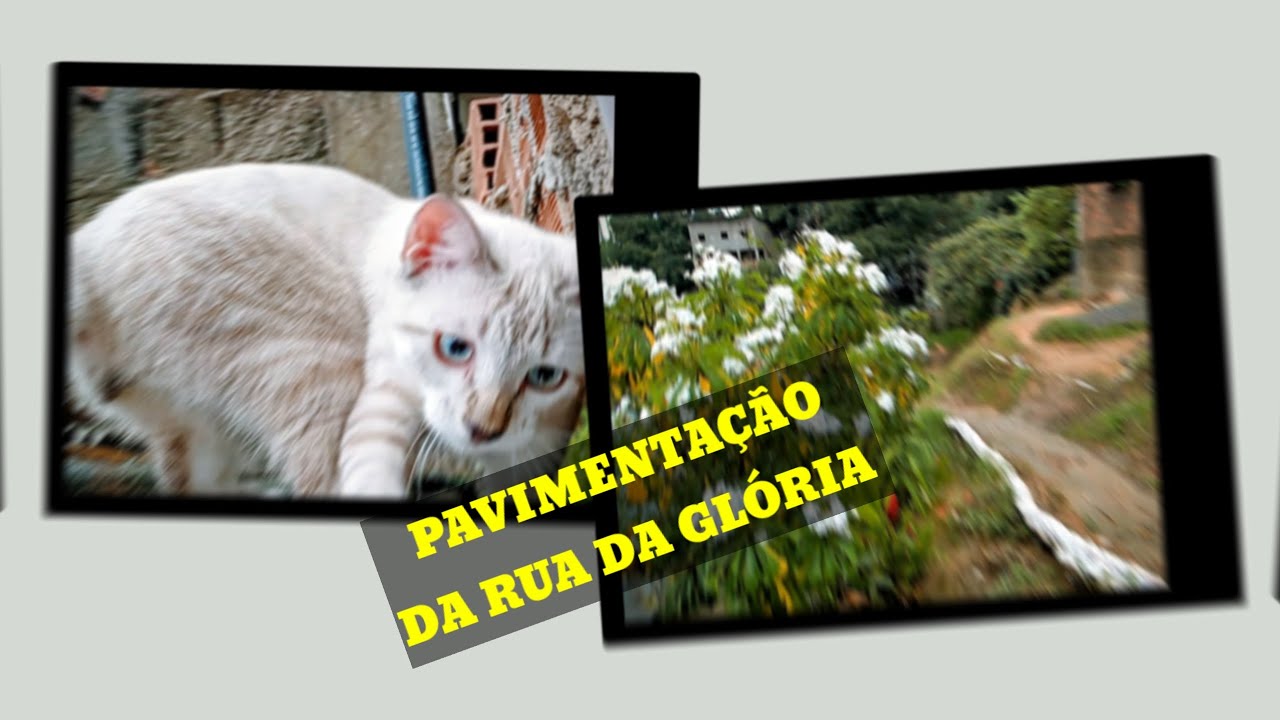 PAVIMENTAÇÃO da rua da Glória ( vídeo 2)