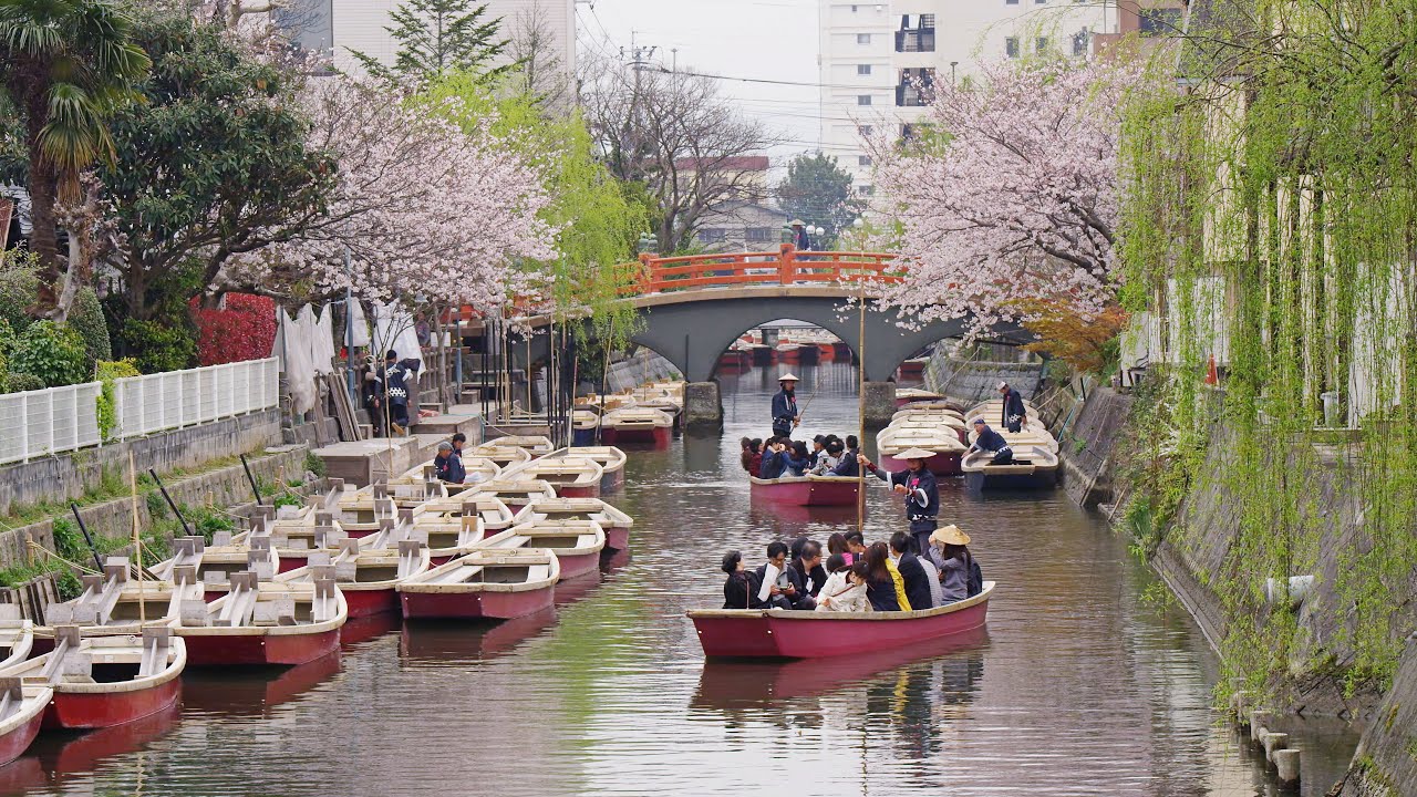 [ 4K Ultra HD ] 春の柳川・川下り Yanagawa River Cruising in Spring (Shot on RED EPIC)