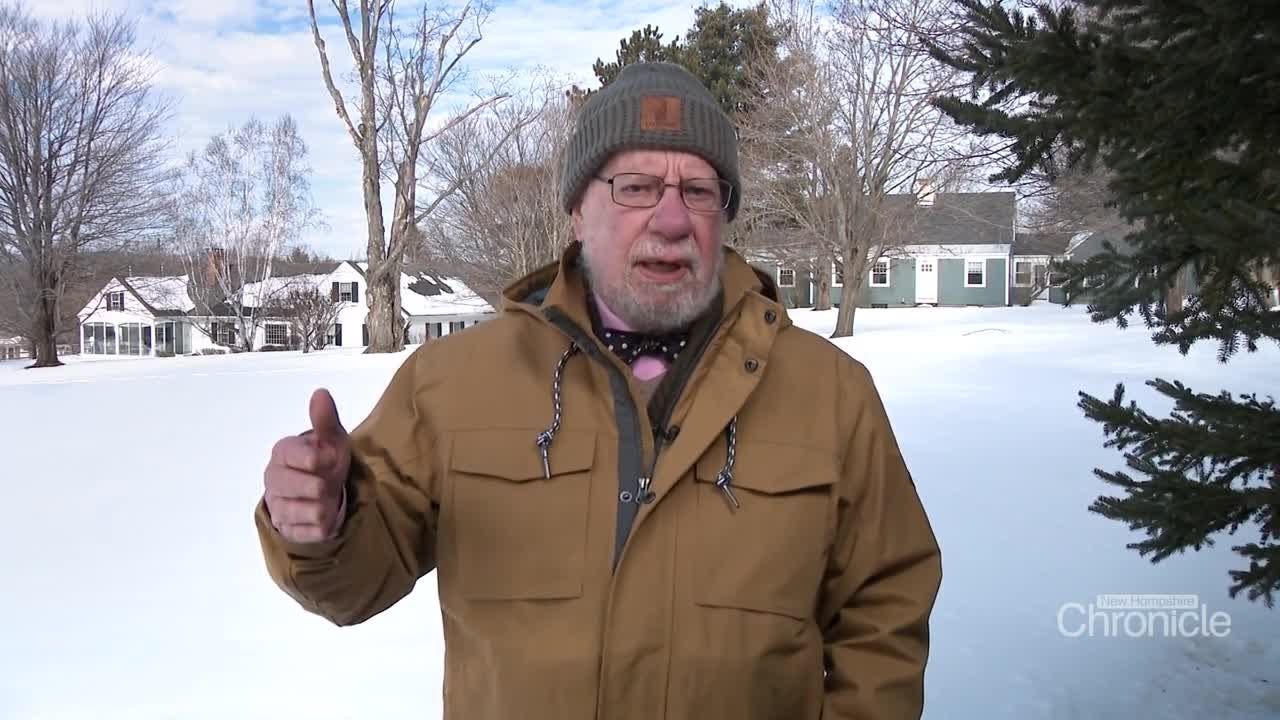 Fritz Wetherbee: Pauper Auction in New London