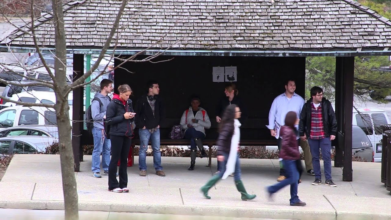The Bystanders