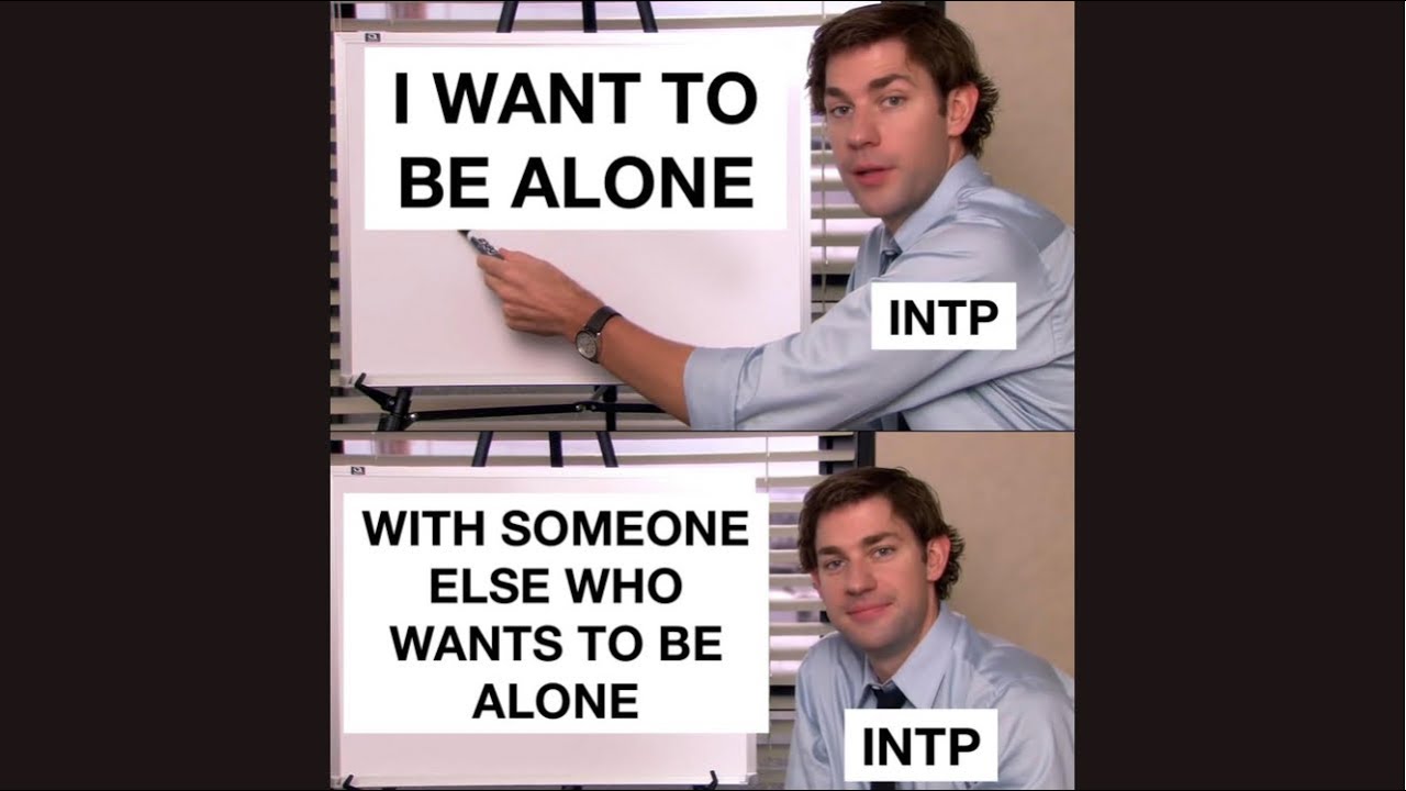 INTP Social Guide