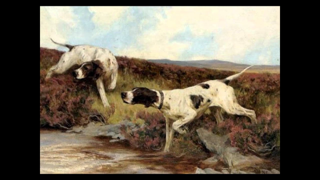 POINTER SKITSA 1