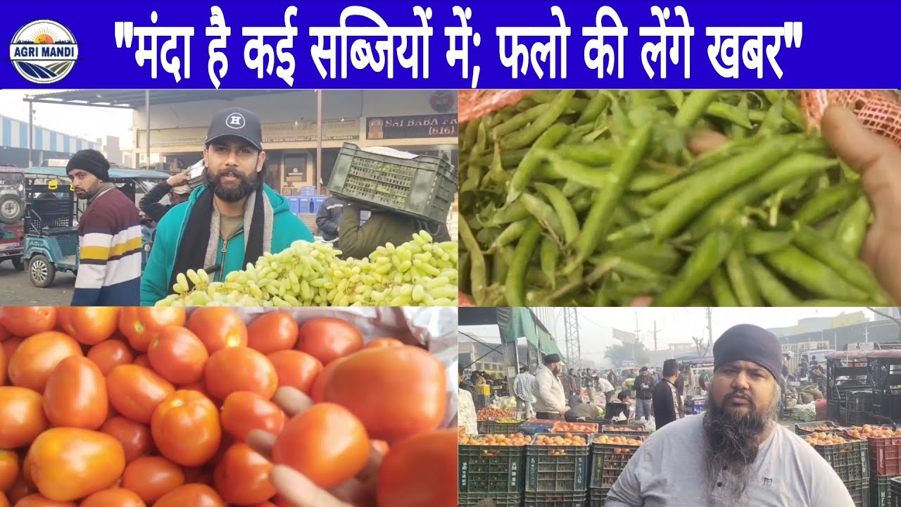 25/02/26 फल सब्जी भाव करनाल मंडी बुधवार थोक दाम #फल #सब्जी #थोकभाव  #farmer