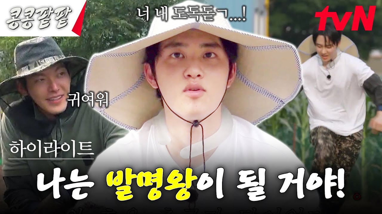 극한의 효율러 ENTJ 도경수의 발명왕 도전기 (특이점: 약간의 하자 有) #highlight #콩콩팥팥 #콩심은데콩나고팥심은데팥난다 EP.2
